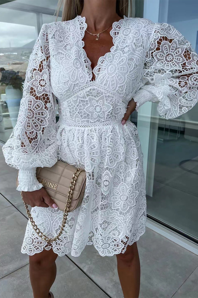 Sexy Celebrities Solid Lace Embroidered V Neck A Line Dresses