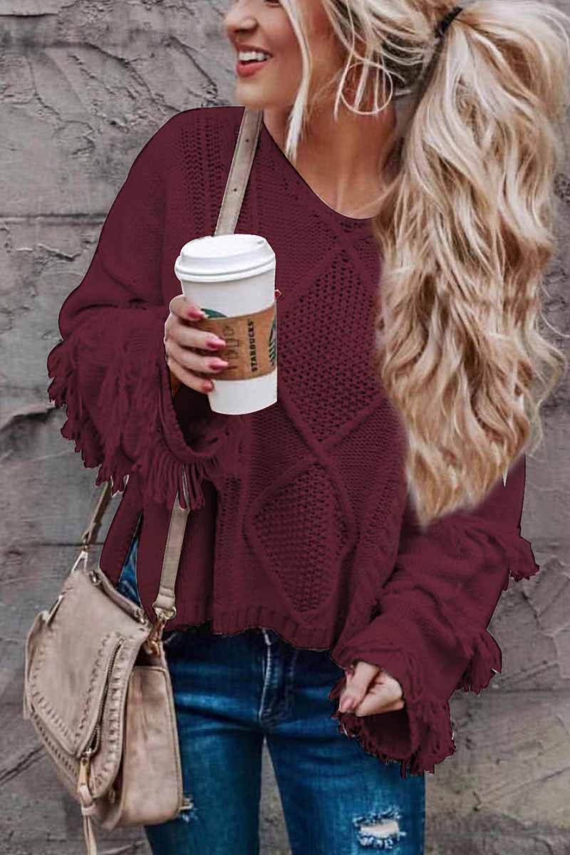 Binfenxie Solid Color Knitted Tassel Sweater